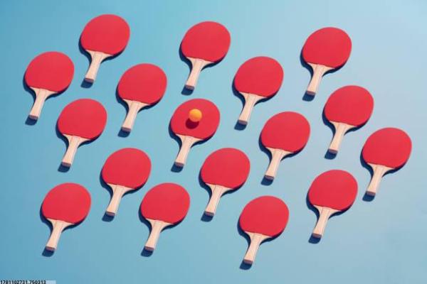 各类体育培训班的招生简章与报名信息